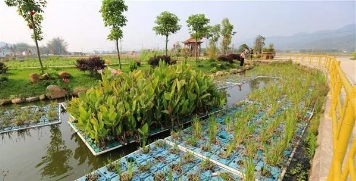 水污染治理5大重點(diǎn)領(lǐng)域評(píng)述