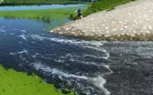 龍崗區(qū)今年將實(shí)現(xiàn)全區(qū)33條黑臭水體全部消除黑臭