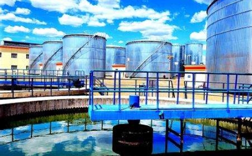 勝利微生物中心獲“中國石化優(yōu)秀創(chuàng)新團隊”稱號