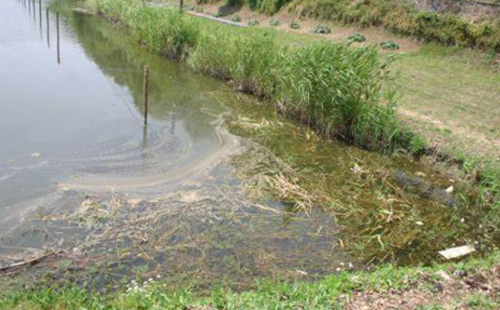 廣東省廳全力推進(jìn)農(nóng)村生活污水治理