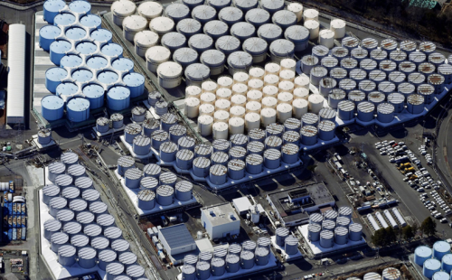 福島核廢水排放預示生態(tài)災難：海洋生態(tài)系統(tǒng)承受沉重壓力