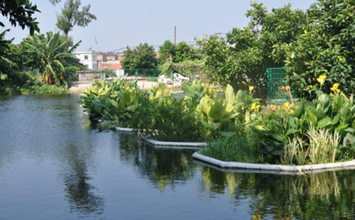 從污水到清流：溫州樂清市虹橋污水處理廠向市民開放，展示生態(tài)處理工藝
