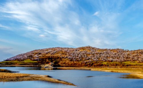 河流水質(zhì)穩(wěn)步改善，大慶市著力打造‘安肇新河’清流