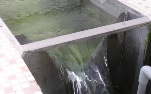 從廢水到寶水：中水回用塑造城市新生態(tài)